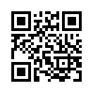 QR CODE 344