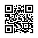 QR CODE 677