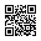 QR CODE 889