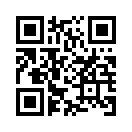 QR CODE 110