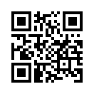 QR CODE 133