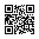 QR CODE 317