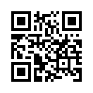 QR CODE 329