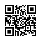 QR CODE 336