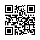 QR CODE 394