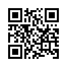 QR CODE 419
