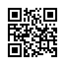 QR CODE 461