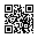 QR CODE 482