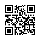 QR CODE 494