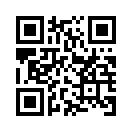 QR CODE 501