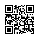 QR CODE 528