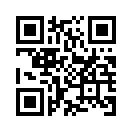 QR CODE 538