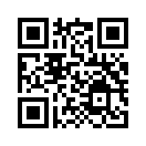 QR CODE 133