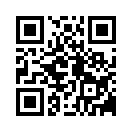QR CODE 30