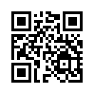 QR CODE 42