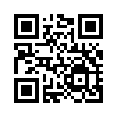 QR CODE 53