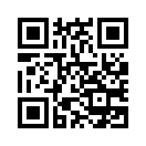 QR CODE 53