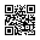 QR CODE 131