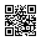 QR CODE 132