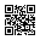 QR CODE 21