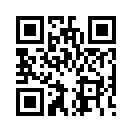 QR CODE 29