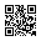 QR CODE 32