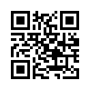 QR CODE 42