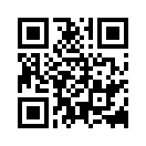 QR CODE 133
