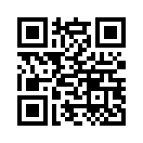 QR CODE 317