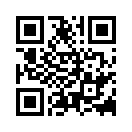 QR CODE 394