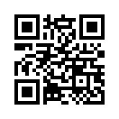 QR CODE 461