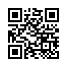 QR CODE 53