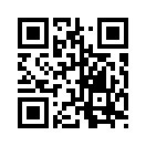 QR CODE 110