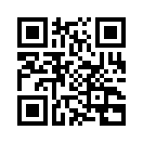 QR CODE 133