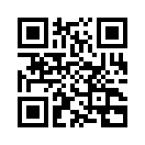 QR CODE 329