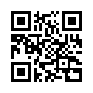 QR CODE 336