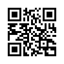 QR CODE 461