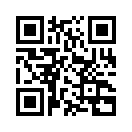 QR CODE 501