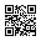 QR CODE 810