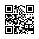 QR CODE 833