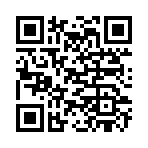 QR CODE 91