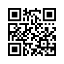 QR CODE 655