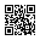 QR CODE 366
