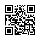 QR CODE 2493