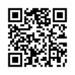 QR CODE 2919