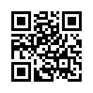 QR CODE 2955