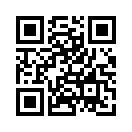 QR CODE 3010