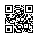 QR CODE 3194