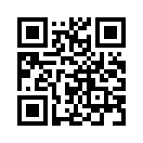 QR CODE 408