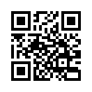 QR CODE 110